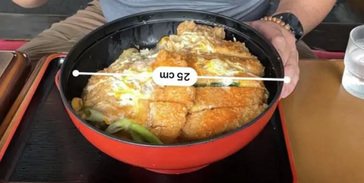 Katsudon